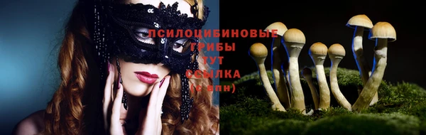 ГАЛЛЮЦИНОГЕННЫЕ ГРИБЫ Армянск