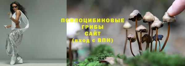 мяу мяу мука Балабаново