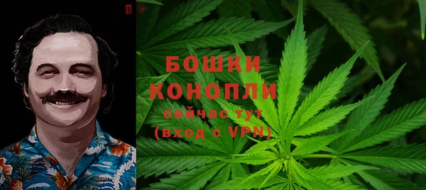 ГАЛЛЮЦИНОГЕННЫЕ ГРИБЫ Армянск